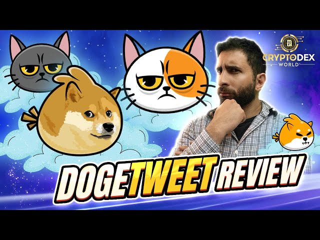 Doge Tweet Review 2023: Angry Birds Inspired Game | Play-to-Earn Game Now!