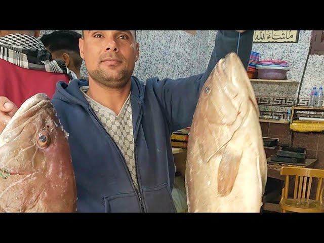 شوفوا حلاوة سمكة الوقار بالمعدية |الاسعار والتوصيل