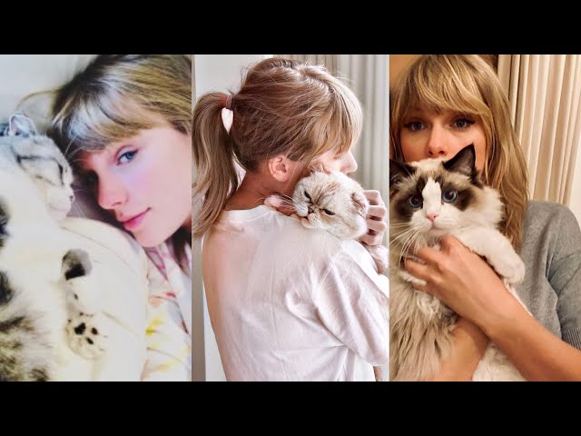 The Best of Taylor Swift and Her Cats