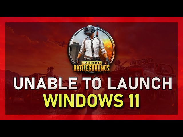 Unable to Play PUBG on Windows 11 Fix