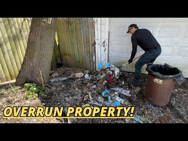 INFESTED property gets REVITALIZED for neighborhood!