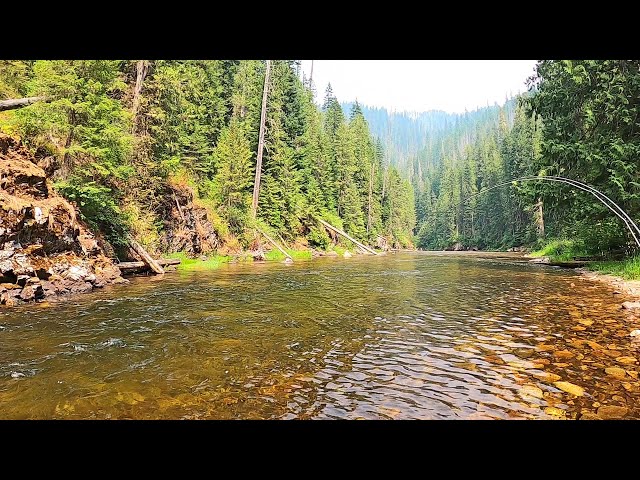 WHY do LOCALS say this is "The BEST FLY FISHING" stream in Idaho...I'll show you!  part 31