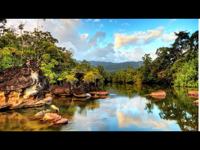 The Magnificent Landscapes Of Madagascar, Australia And New Zealand | Somewhere On Earth Marathon