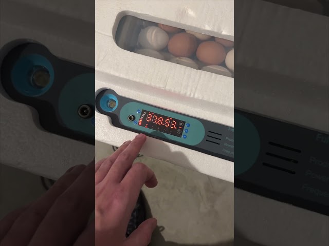 Automatic Egg Incubator 24 Eggs Capacity Aliexpress Finds #aliexpress #incubator