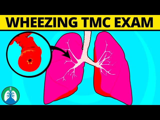 TMC Exam Tips About Wheezing (Lung Sounds) | Respiratory Therapy Zone (Wheezes)