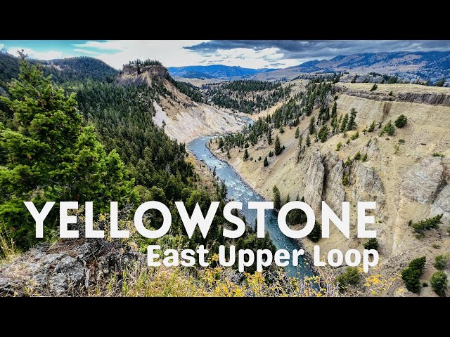 Yellowstone - Tour of East Upper Loop Dunraven Pass