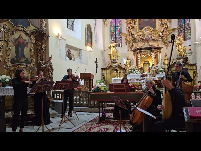 Georg Philipp Telemann - Sinfonia Spirituosa in Re maggiore per archi e continuo TWV 44:1