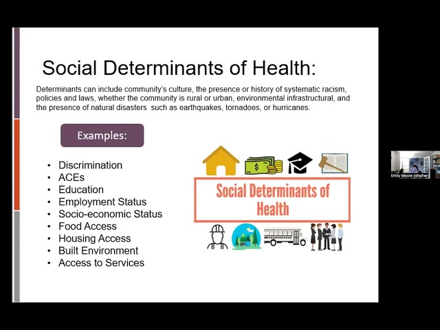 Integrating Social Determinants of Mental Health into Clinical Practice (Session #1)