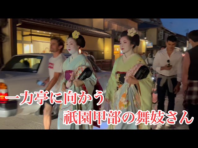 2023年10月19日 お茶屋一力亭に向かう美しい祇園甲部の舞妓さん Maiko of Gion,Kyoto 【4K】