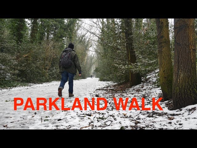 Parkland Walk Haringey - Finsbury Park, Highgate Woods, Muswell Hill (in 4K)