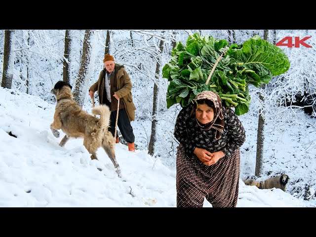 The Painful Life of the Old Couple in the Village | Documentary