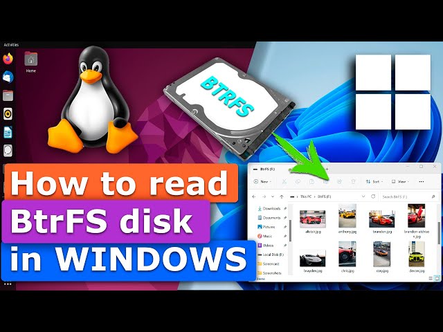 Software Tools to Read a BTRFS disk in Windows