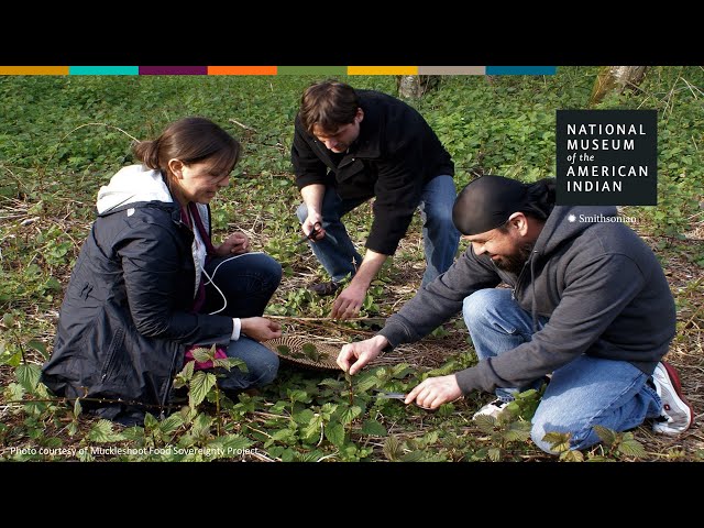 Indigenous Food Sovereignty | Youth in Action