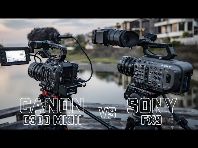 Canon C300 mkiii vs Sony FX9 | Battle of the $11k Cameras