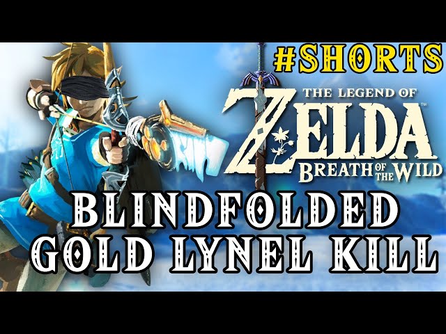 Zelda Breath of the Wild - Blindfolded Golden Lynel Kill