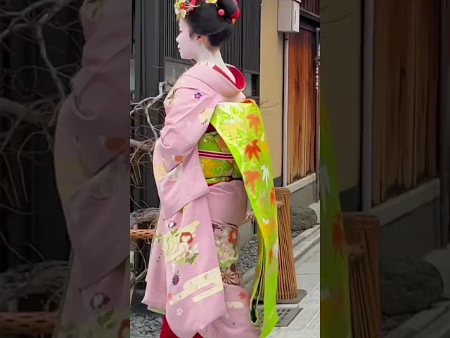 祇園花見小路を往く舞妓さん #京都 #舞妓