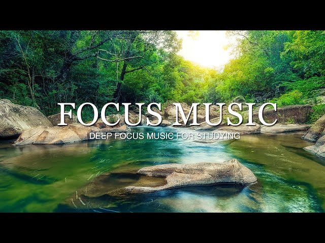 Deep Focus Music To Improve Concentration - 12 Hours of Ambient Study Music to Concentrate #161
