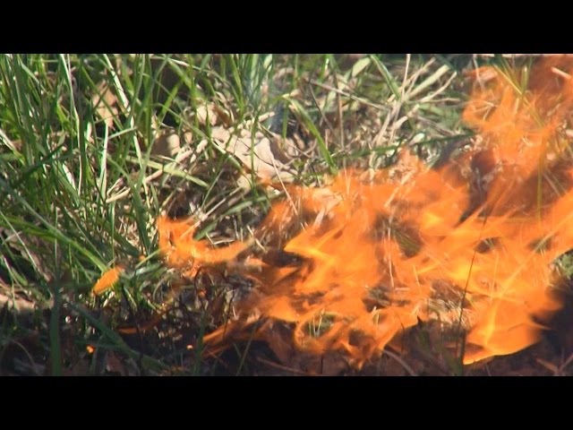 Prescribed Burn at Perryville Battlefield for Wildlife Habitat Improvement