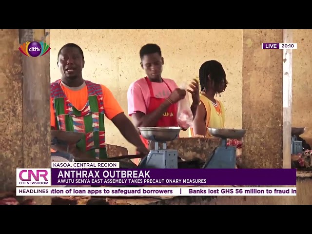 Anthrax outbreak: Awutu Senya East Assembly takes precautionary measures | Citi Newsroom