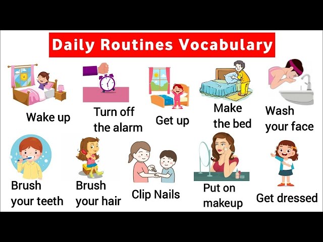 Vocabulary Words in Daily Routine - Daily Routine Vocabular for kids - Daily Routine Words