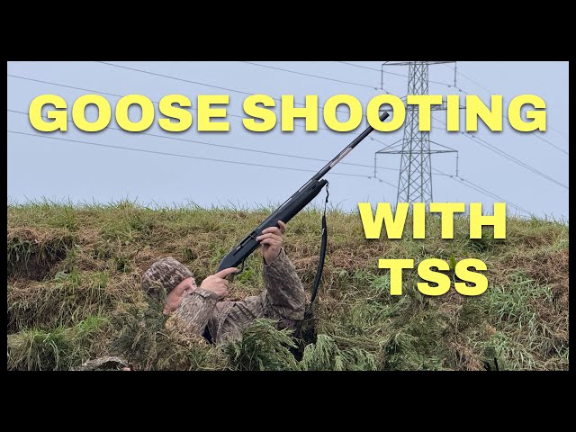 Goose  shooting Using  TSS