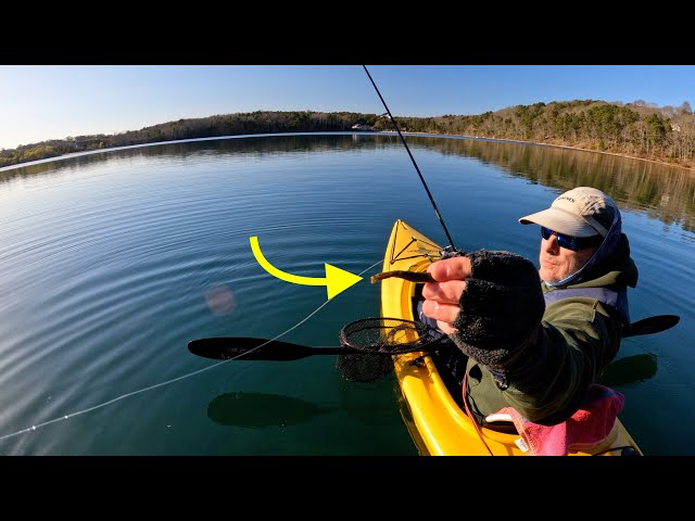 Ned Rigs for *TROUT*?? | Baits, Retrieve & Gear!