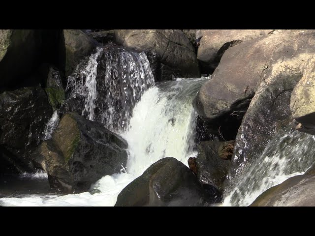 Soundscape: Waterfall on Northwest Branch