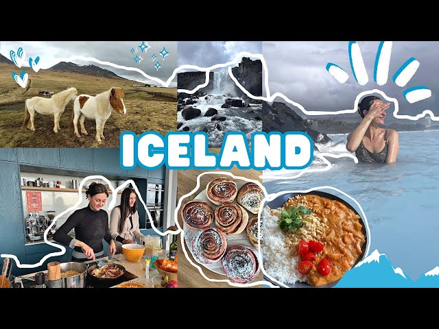 ICELAND VLOG! What I Ate This Week as a Vegan in Iceland