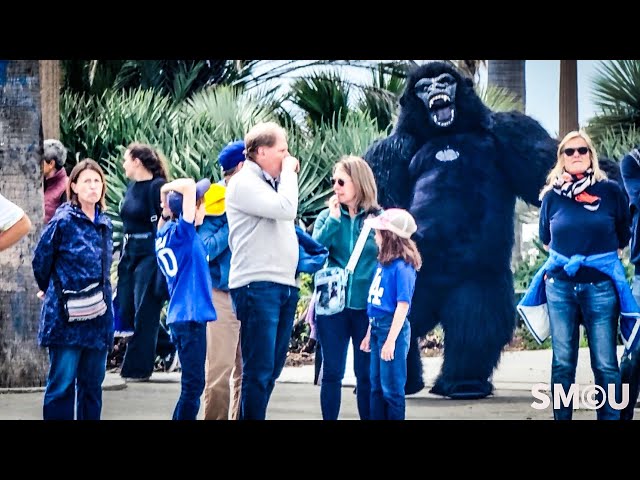 Gorilla in the Mist: King Kong Takes Santa Monica by Surprise!"