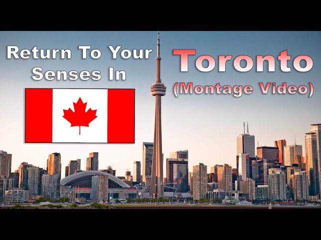 Return To Your Senses In Toronto... (Montage Video) [2020]