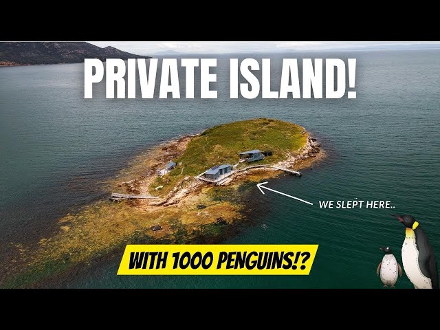 STRANDED On a Rocky Island With 1,000 Fairy Penguins! Overnight on PICNIC ISLAND, Tasmania!