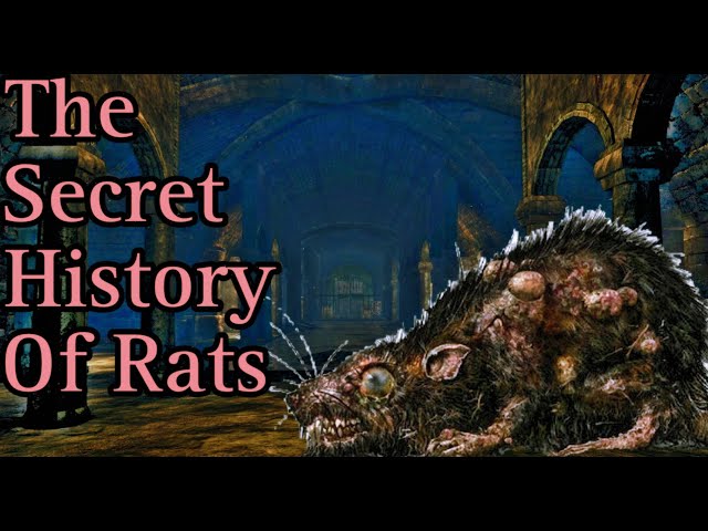 The Rats Are Not What They Seem - Dark Souls