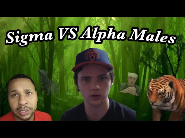 Why Sigma Males are More Attractive than Alpha Males Reaction - Comedy Review of the Classic Video