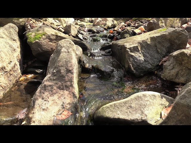 Soundscape: Rocky Stream