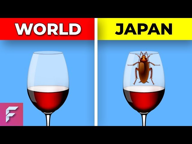 7 Things That Exist Only In Japan.. (REALLY SHOCKING)