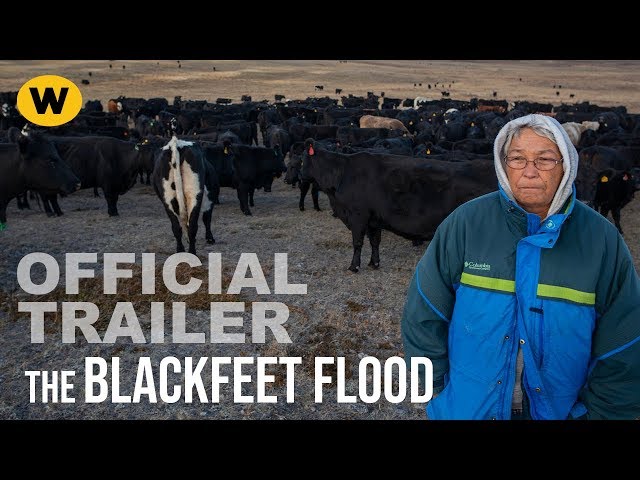 The Blackfeet Flood | Official Trailer | Local, USA