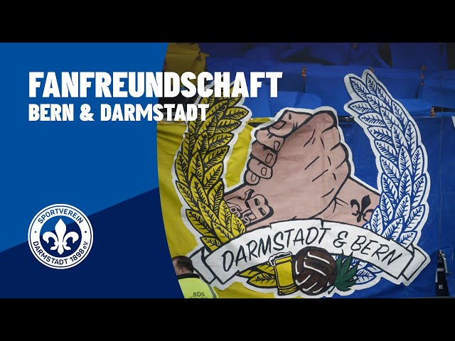 Darmstadt 98 | Über unsere Fanfreundschaft mit Young Boys Bern
