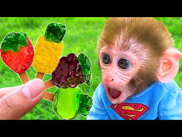 Monkey Baby BonBon Eats Colorful Marshmallows - Crew BonBon