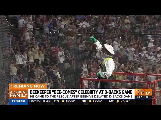 Everybody's buzzing about the beekeeper who cleared away swarm of bees at D-Backs game