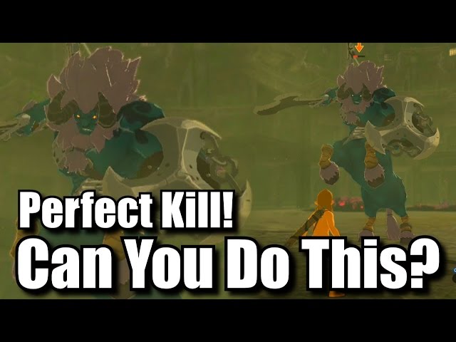Perfect Kill A Blue Lynel Challenge - No Armor, Abilities, or Runes - Zelda Breath of the Wild