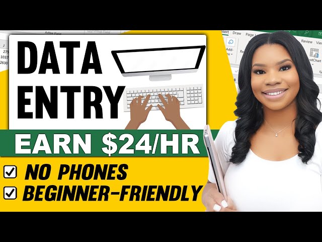 DATA ENTRY: $24 Per Hour | Non-Voice Typing Jobs | Work From Home Jobs 2023