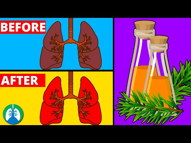 How to Cleanse Your Lungs with White Fir Essential Oil