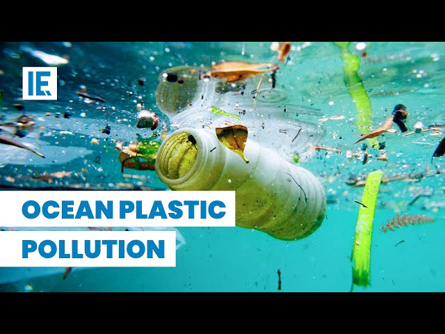 How This Company Will Clean The Great Pacific Garbage Patch