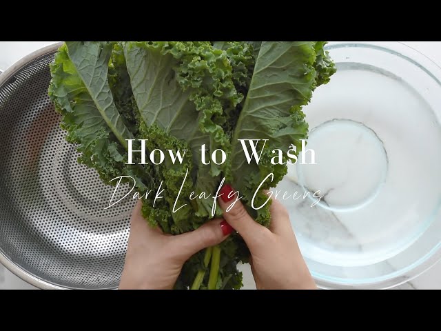 How To Wash Dark Leafy Greens [So You Don't Eat Bugs]