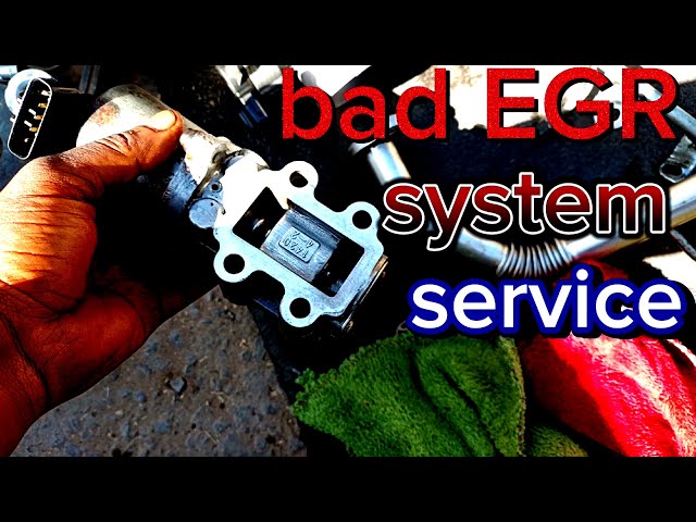 EGR system service