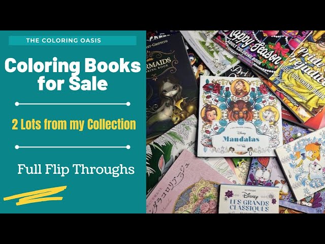 2 HUGE Coloring Book Lots for Sale from Personal Collection | Full Flip Throughs | Disney Etsy Lot