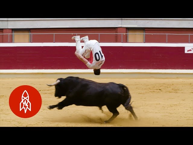 El salto de toros es locura total