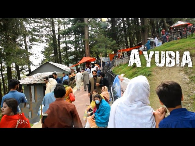 Ayubia Murree - A Low budget trip Ayubia