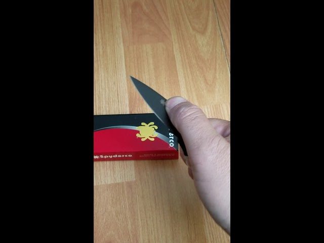 SPYDERCO LIL NATIVE COMPRESSION LOCK BLACK STAINLESS FOLDING KNIFE 230GPBBK