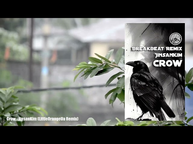 JinsanKim - Crow (Little Orange UA Remix)